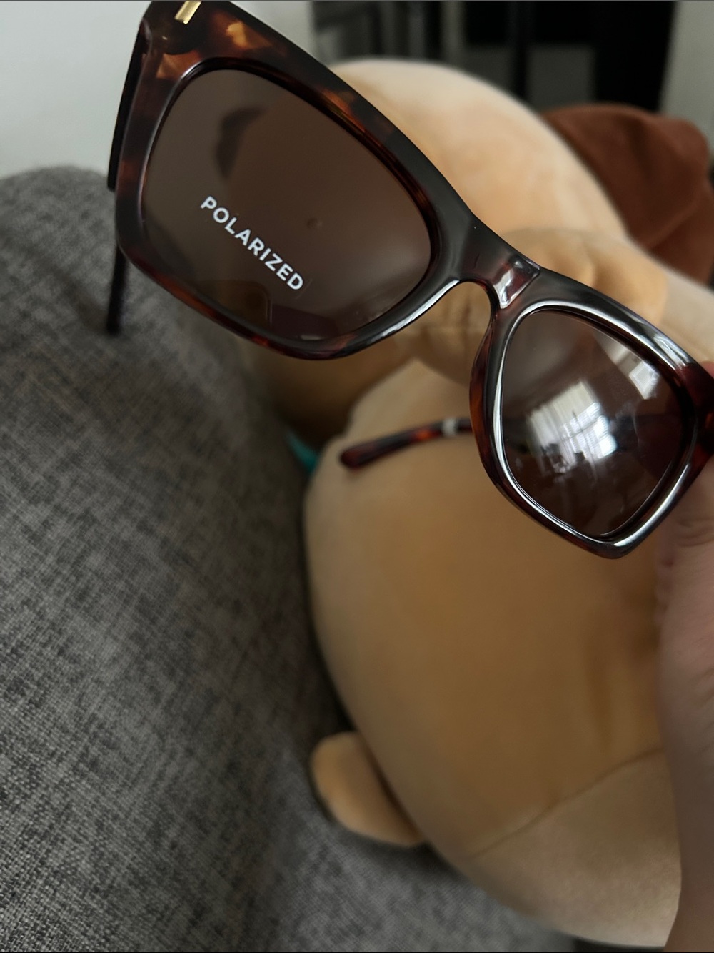 Aire Bellatrix - Dark Tort Polarized - Picture 8 of 8